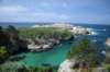 pointlobos_11_small.jpg