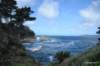 pointlobos_7_small.jpg