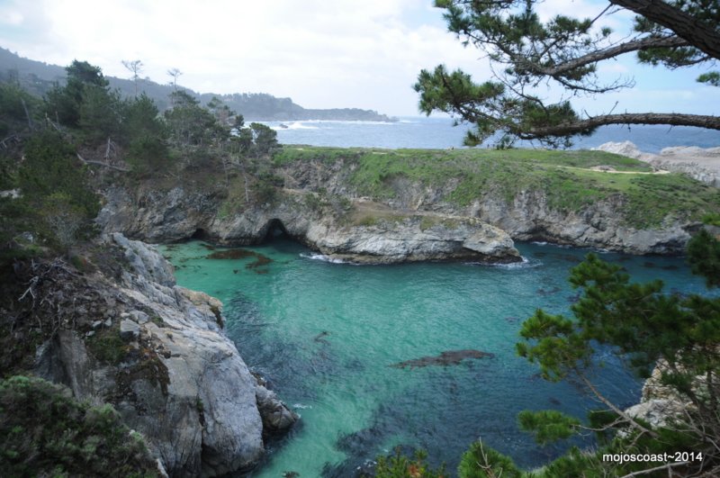 pointlobos_8.jpg